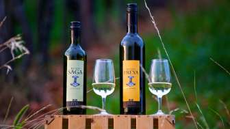 W&W Weinbau Löhningen