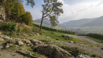 Heisser Stein, Osterfingen