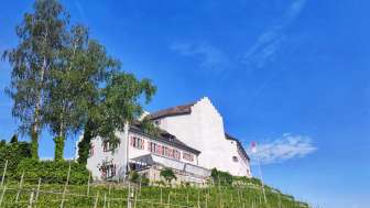 Schloss Schwandegg