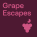 Auf einer violetten, quadratischen Box steht der Text in pink "Grape Escapes".
