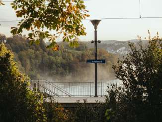 Blick durch die Büsche auf das Gleis des Bahnhofs Neuhausen Rheinfall. Im Hintergrund sieht man die Gischt des Wasserfalls.