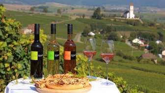 Bringolf Weinbau Apero Rebberg