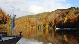 Rhein im Herbst