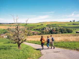 Drei Personen mit je einem Rucksack spazieren auf einer Feldstrasse durch die hügelige Landschaft.