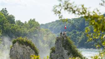Early-Bird Rheinfall & Wein im Klettgau