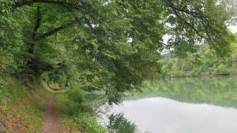 Rhein-Wanderung von Bad Zurzach nach Kaiserstuhl