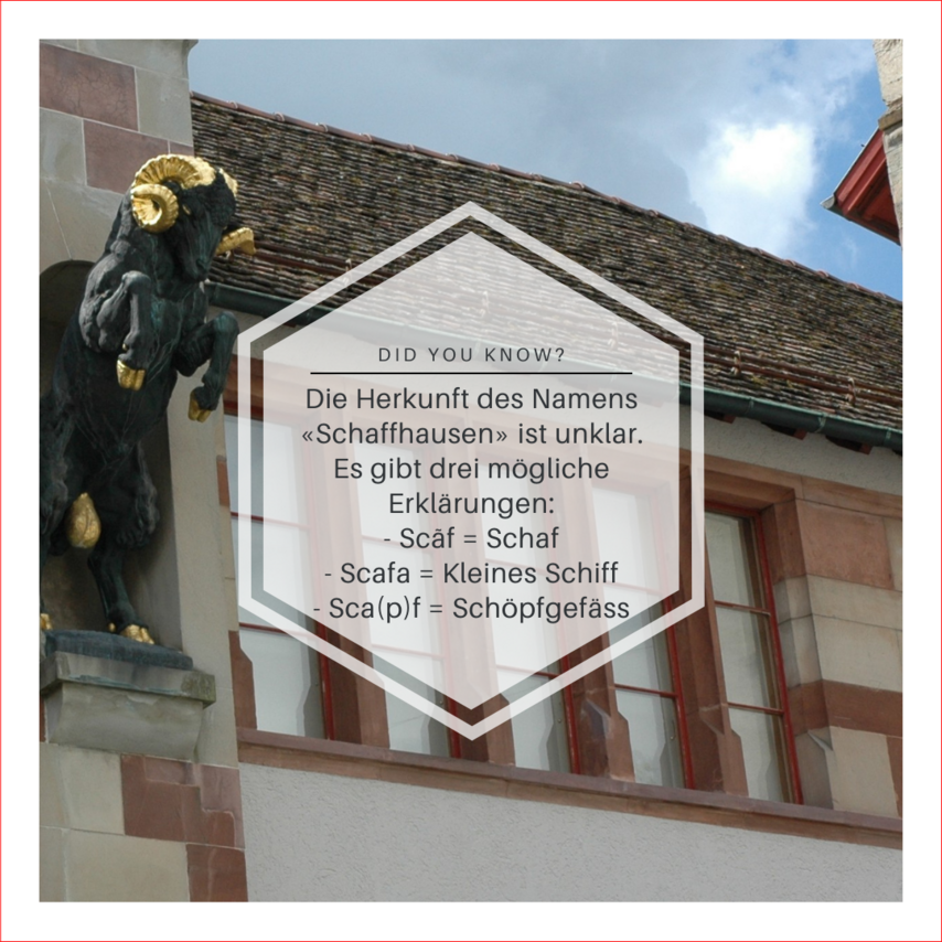 Bild vom Schaffhauser Bock beim Museum Allerheiligen mit Fakt woher der Name Schaffhausen kommt