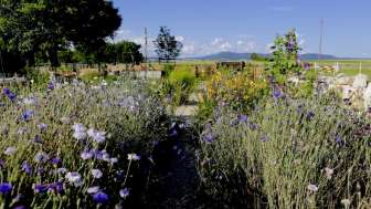 Gartenführung Lebens(t)räume Wilchingen