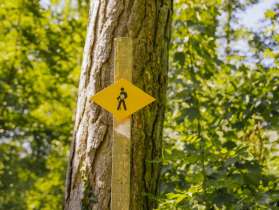 Wanderwegweiser Ein gelbes Wanderwegweiser-Schild an einem Holzpfosten steht im Wald vor einem Baum.