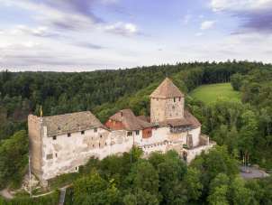 Burg Hohenklingen Blick von oben auf die Burg Hohenklingen, die mit Wald umgeben ist.