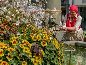 Brunnenkönig Brunnenführung Links auf dem Brunnen sind blühende Blumen sichtbar. Eine Dame mit braunem Rock und rotem Oberteil hält die Hände ins Brunnenwasser. Sie lächelt dabei.