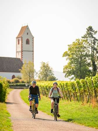 Zwei Velofahrende fahren auf einer Strasse durch einen Rebberg. Im Hintergrund ein Krichenturm.
