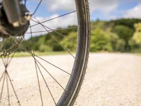 Velorad Teil eines Velorades, das auf einem Naturweg fährt. Im Hintergrund sieht man den Waldrand.