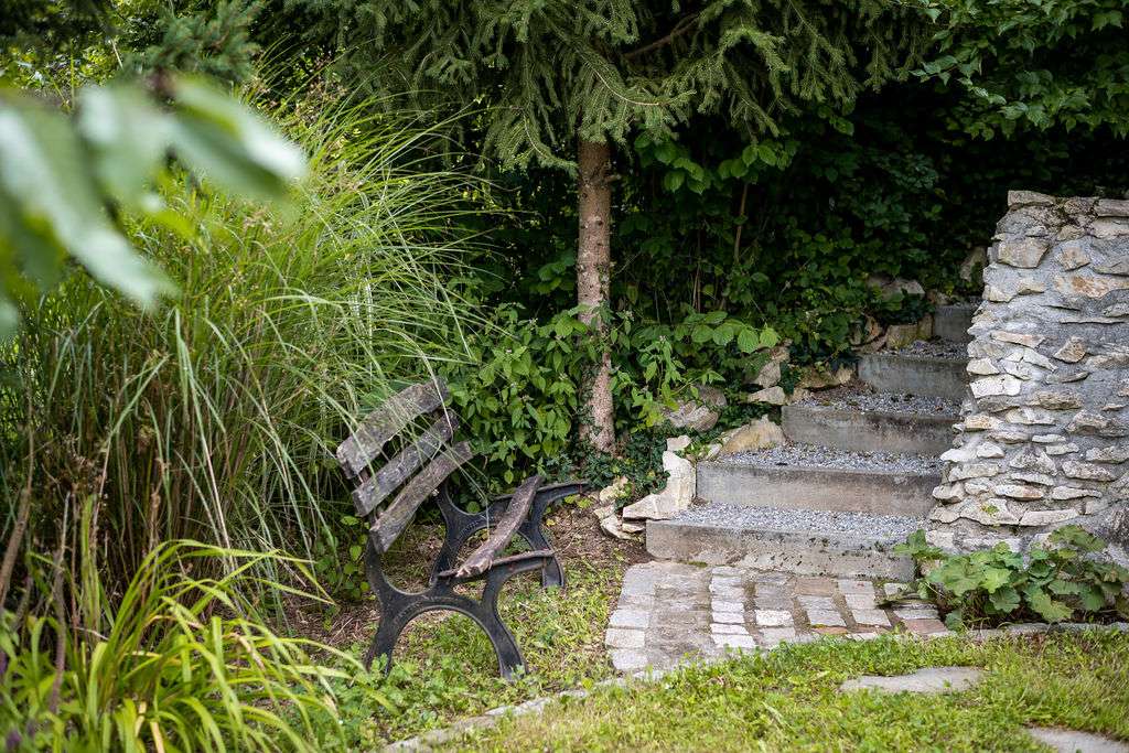Kneippen4you Grünergarten mit einer Holzbank und einer Steintreppe.