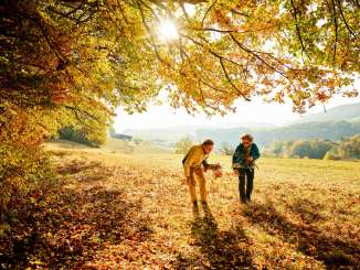 Zwei Personen sind am Waldrandunterwegs und Sammeln goldene Blätter der herbstlichen Bäume.