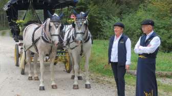 Kutschenfahrten Vogelsanger