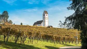 Winzergenossenschaft Hallau/Oberhallau