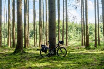 Velo mit Gepäck im Wald Es steht ein Velo angelehnt an einem Baum. Das Velo ist bepackt mit diversen Velotaschen.