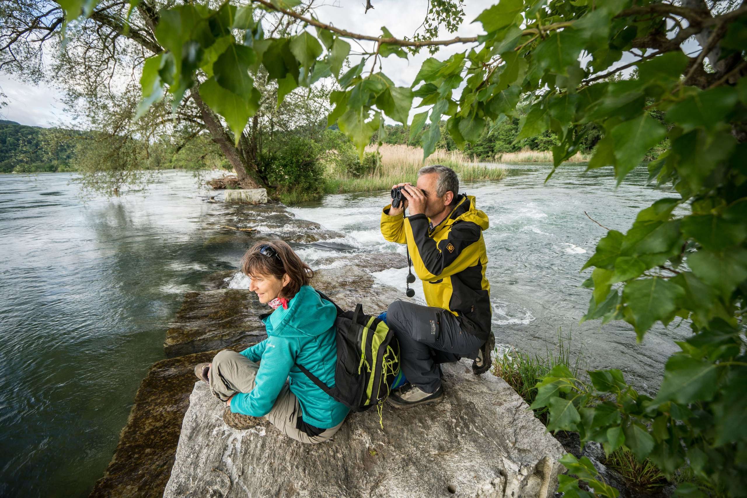 Zwei Wanderer beobachten mit Feldstechern Tiere am Wasser im Naturpark Schaffhausen