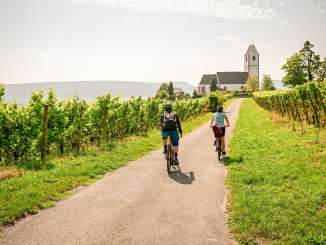 Zwei Velofahrende auf einem Weg zwischen Reben und in der Weite ist die Bergkirche zu sehen. Eine Person fährt ein E-Bike und eine ein Gravel.