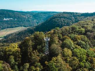 Ein Aussichtsturm aus Metall ragt aus dem hügeligen Wald. Das ist der Schleitheimer Randenturm.