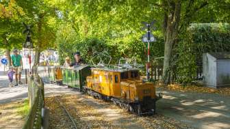 Liliputbahn Stein am Rhein Ein kleiner Miniaturzug mit oranger Lokomotive fährt mit einem Lokführer und einem Kind als Fahrgast durch einen Park.