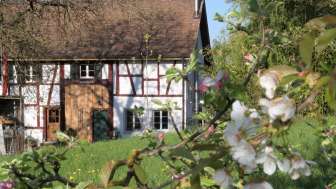 Ferienwohnung Waldblick