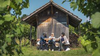 Weinwanderung Stein am Rhein