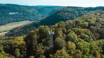 Schleitheimer Randenturm