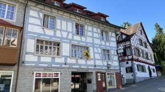 Schwanen Kino & Theater