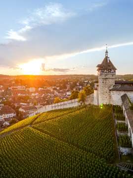 Munot und Schaffhauser Altstadt Blick auf die Rundfestung Munot mit Reben. Dahinter sieht man die Schaffhauser Altstadt. Hinter dem Hügel geht die Sonne unter.