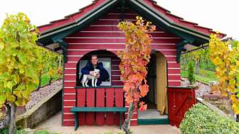 Weindegustation direkt im Rebberg