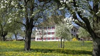 Berghof