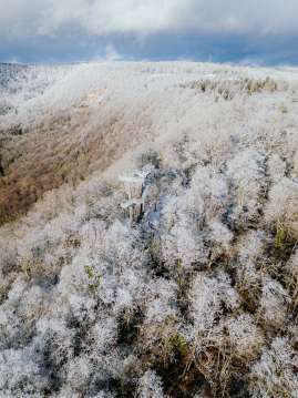 Ein Aussichtsturm ragt aus dem leicht weissen Wald.