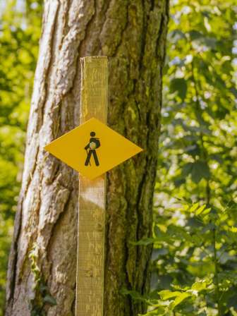 Wanderwegweiser Ein gelbes Wanderwegweiser-Schild an einem Holzpfosten steht im Wald vor einem Baum.