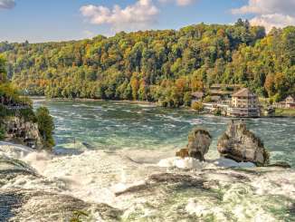 Blick von der Eisenbahnbrücke auf die beiden Rheinfallfelsen. Im Hintergrund ist das Schlössli Wörth und ein herbstlicher Wald.