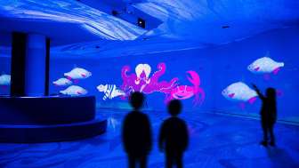 Märchenshow 3   Kompromiert