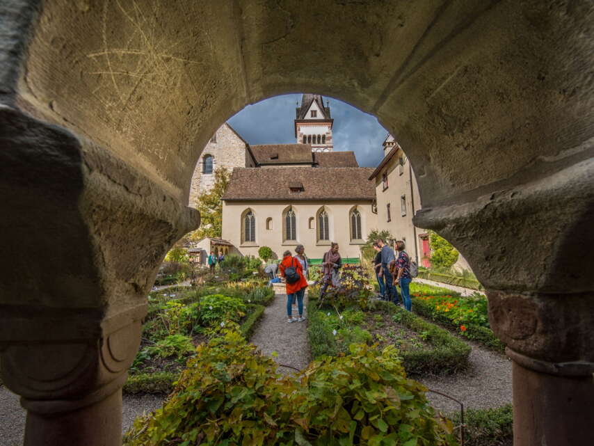 Stadtführung Gruppe im Kräutergarten Schaffhausen. Gruppe und Guide stehen im Kräutergarten und betrachten die Pflanzen.