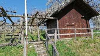 Räbhüüsli Picknick