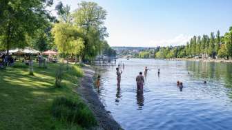 Flussbadi Langwiesen - Freizeitanlage Rheinwiese
