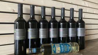 vinoTon Weine - Heusi Rebbau