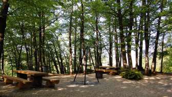 Grillstelle Ruine Radegg