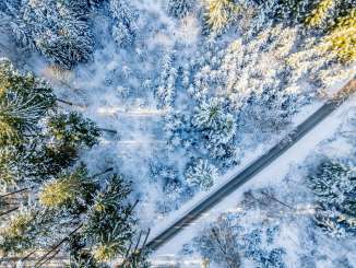 Ein Wald gezuckert mit Schnee aus der Vogelperspektive.