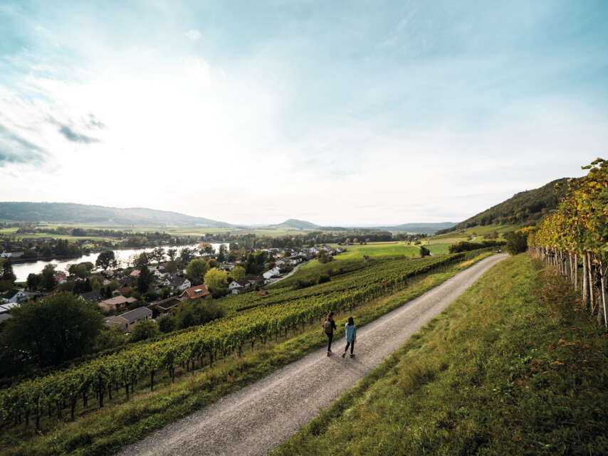 Zwei Wanderinnen laufen durch die Reben oberhalb von der Stadt Stein am Rhein. Im Hintergrund sieht man den Rhein.