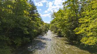 Renaturierte Wutach