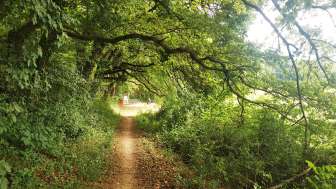 Grillstelle Chuttler