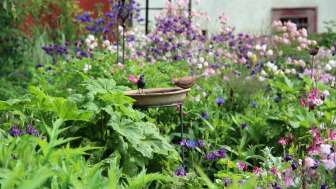 Gartenpfad Osterfingen Gartenpfad Osterfingen