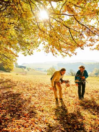 Herbstmomente in Opfertshofen Zwei Personen sind am Waldrandunterwegs und Sammeln goldene Blätter der herbstlichen Bäume.