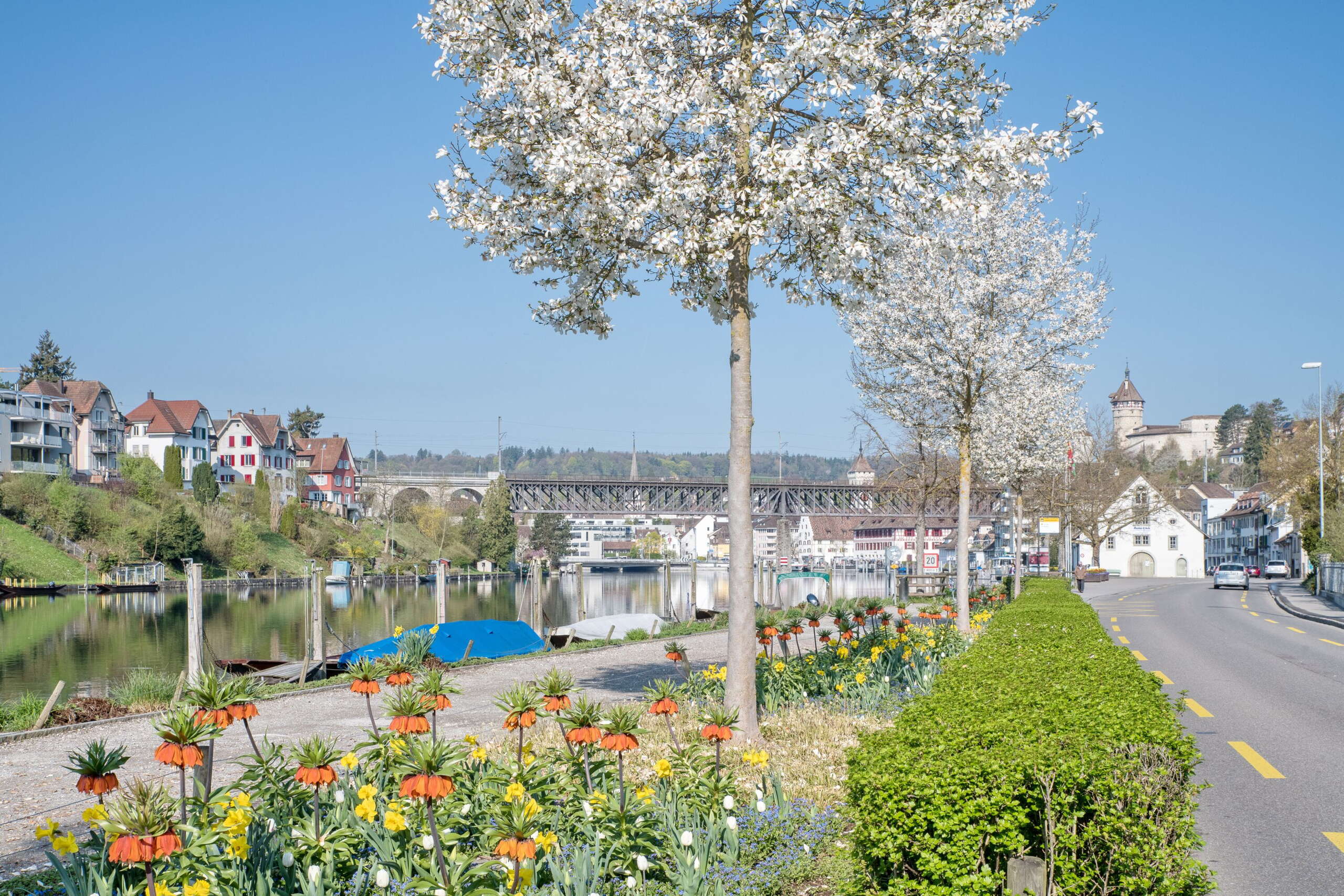 Kiesweg entlang dem Rhein mit einem Blumenbeet, das den Weg von der Strasse trennt. Im Hintergrund ist der Munot.